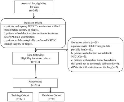 Development and Validation of a Radiomics Nomogram Based on 18F-Fluorodeoxyglucose Positron Emission Tomography/Computed Tomography and Clinicopathological Factors to Predict the Survival Outcomes of Patients With Non-Small Cell Lung Cancer